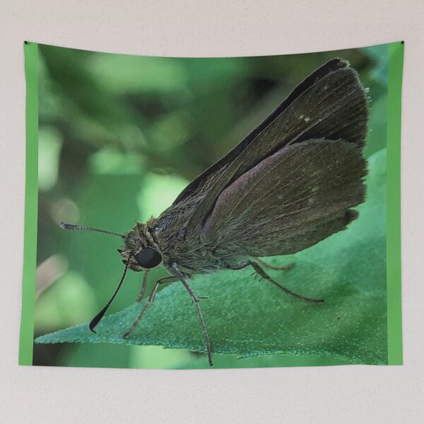 Item preview, Grass Skipper Butterfly designed and sold by JanineEK.