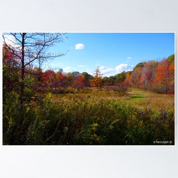 Item preview, Autumn Fields designed and sold by Marcia Rubin.