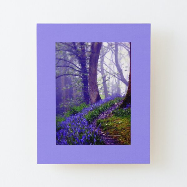 Bluebells in the Forest Rain Wood Mounted Print