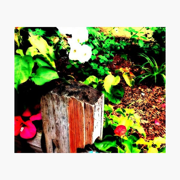 Artikelvorschau, Im Garten entworfen und verkauft von RebelShadow.