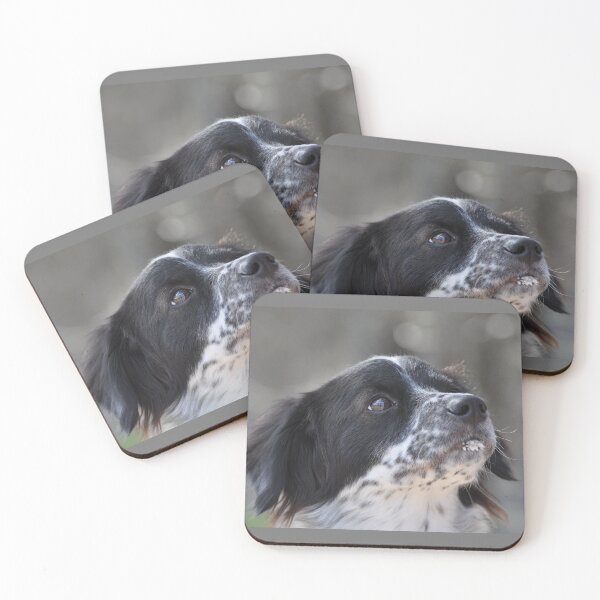 Item preview, Waiting for a treat designed and sold by Savannah Gibbs.