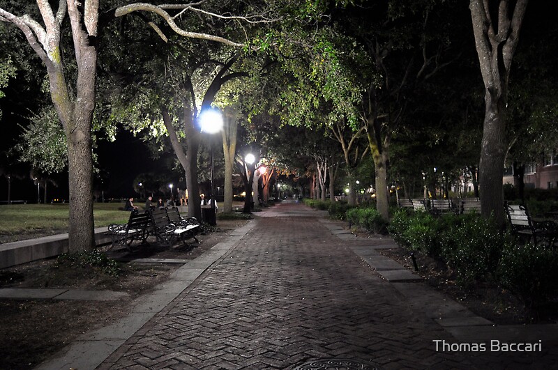 "The Park at Night in Charleston, SC" by Thomas Baccari Redbubble