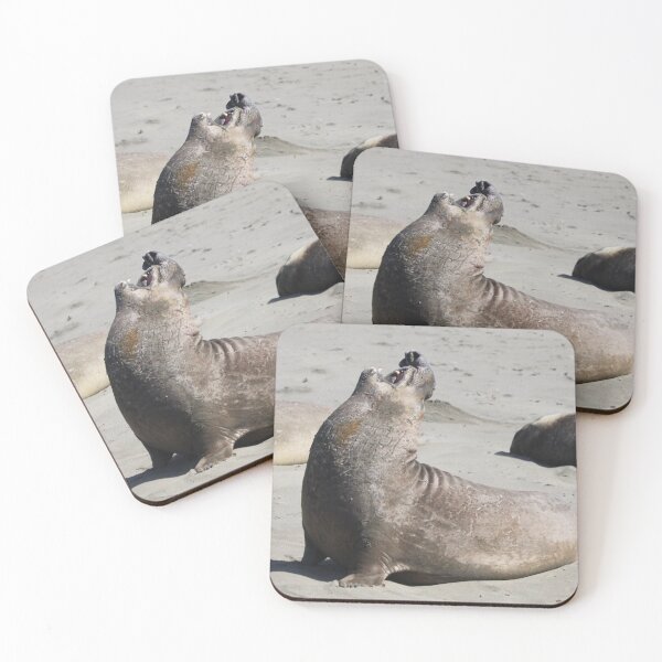 Item preview, Elephant Seal designed and sold by MelKowasic.