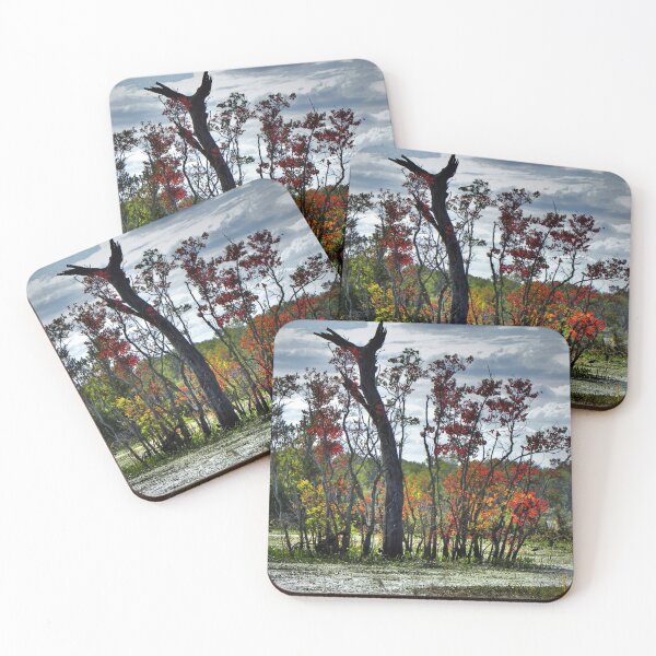 Item preview, Autumn designed and sold by Savannah Gibbs.