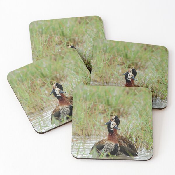 Item preview, YEAH, FRIENDS FOR-EVER - WHITE-FACED DUCK - Dendracygna viduata – Nonnetjie-eend designed and sold by Magriet Meintjes.