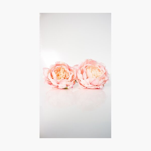 Item preview, Two Peonies designed and sold by Sketchbrooke.