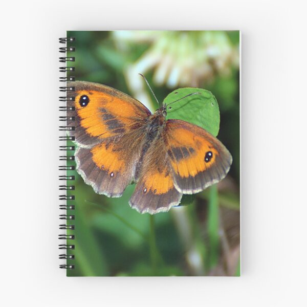 Item preview, gate keeper  designed and sold by tammy mellor.