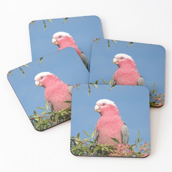 Item preview, Beauty in the Morning. designed and sold by Trish Meyer.