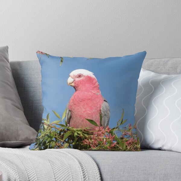 Item preview, Beauty in the Morning. designed and sold by Trish Meyer.