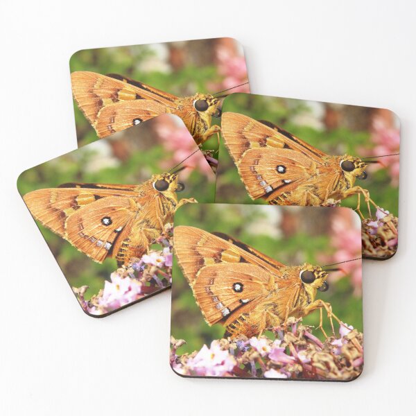 Item preview, At Last! designed and sold by Trish Meyer.