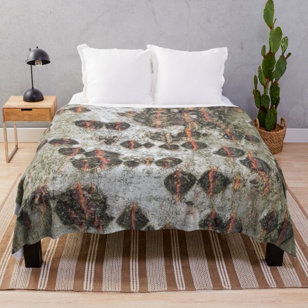 Item preview, Unusual Northern European Birch Bark  designed and sold by Jon Shore.