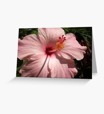 Gumamela Greeting Card