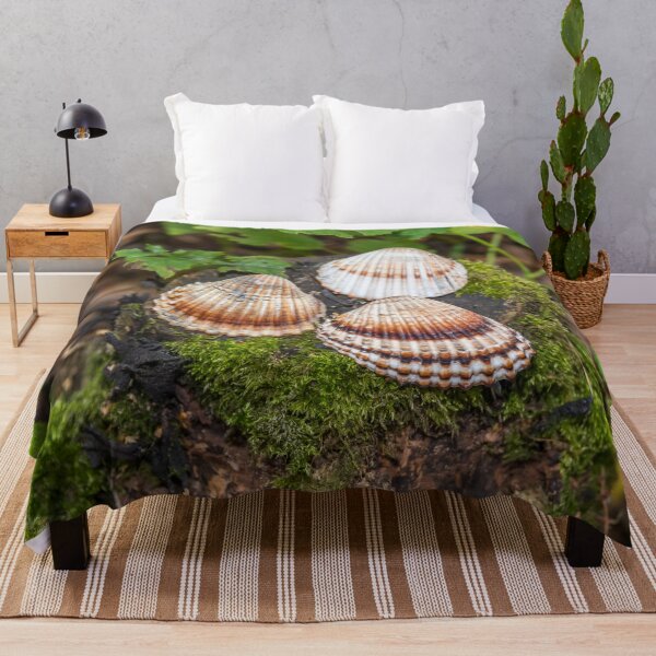 Item preview, Shells from the Beach on a Moss Covered Tree Stump in a Forest designed and sold by Jon Shore.