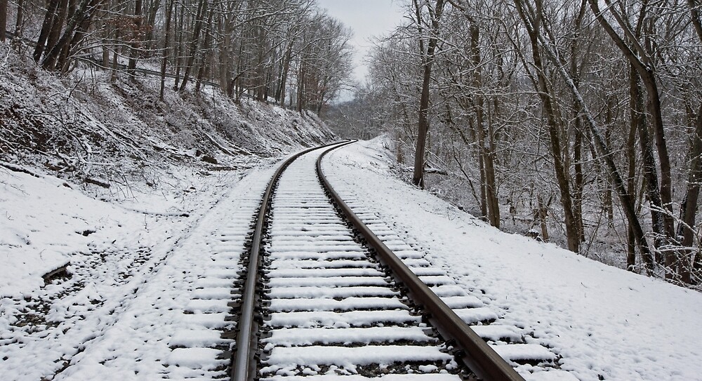 She Rode The Rails by Beverly Adam