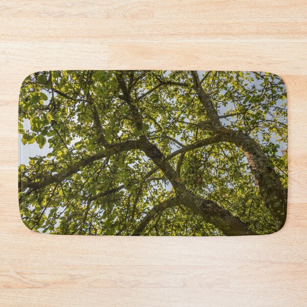 Item preview, Looking Up through an Apple Tree in Summer designed and sold by Jon Shore.
