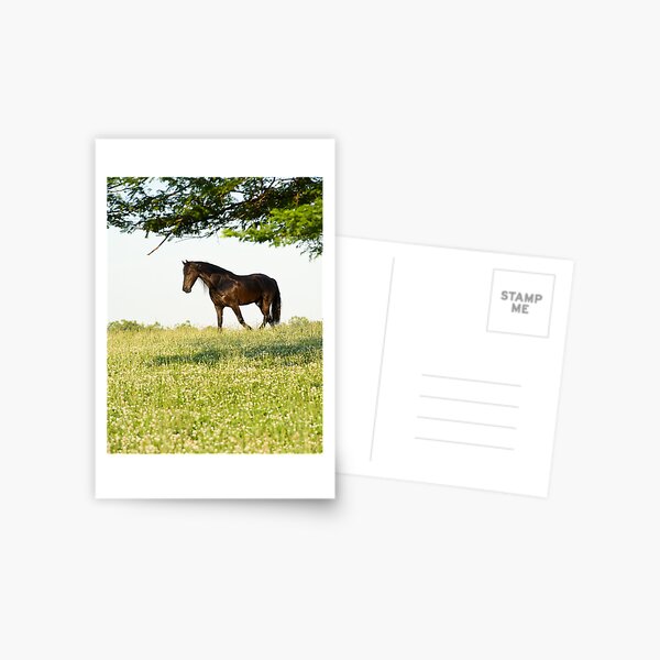 Item preview, Friesian Horse designed and sold by Dency Kane.