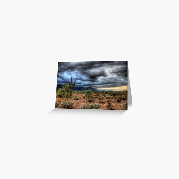 Sonoran Desert Greeting Card