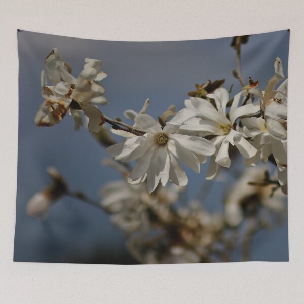 Item preview, White flowers designed and sold by laura-S.