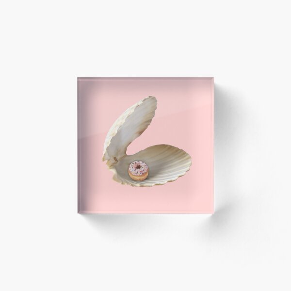 Donut Shell Acrylic Block