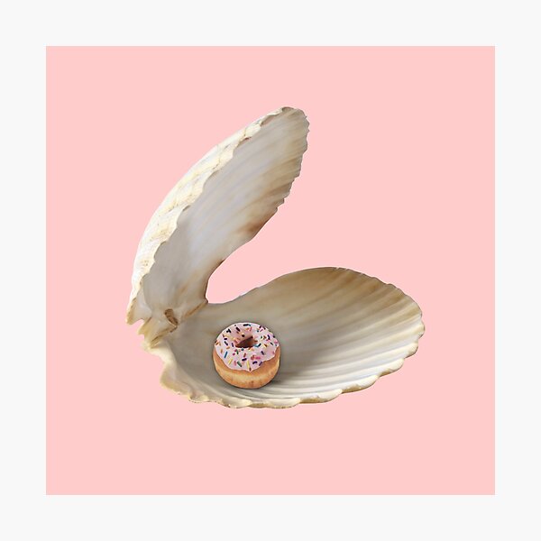 Donut Shell Photographic Print