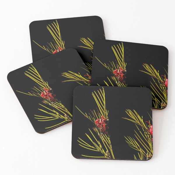 Item preview, Grevillea robusta designed and sold by myraj.
