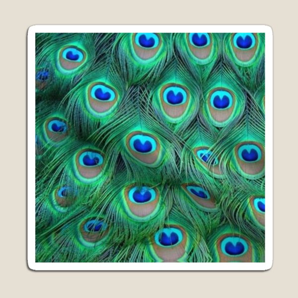 Item preview, Peacock Feathers 2 designed and sold by CDonato.