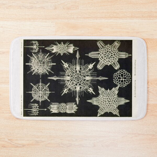 Item preview, Plate 41. Acanthophracta, marine protozoans that typically have a lattice-work skeleton. designed and sold by Squirrox.