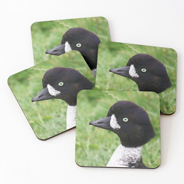 Item preview, Barrow's goldeneye designed and sold by GreyFeatherPhot.