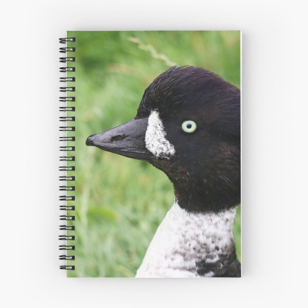 Item preview, Barrow's goldeneye designed and sold by GreyFeatherPhot.