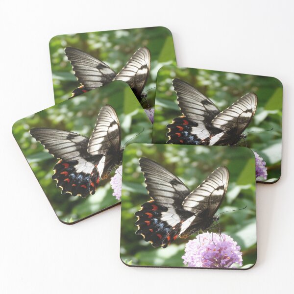 Item preview, Orchard Swallowtail designed and sold by Trish Meyer.
