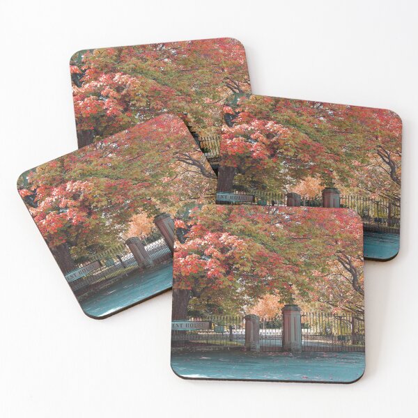 Item preview, Autumn colour at Government House, Hobart, Tasmania designed and sold by Kirsten Covington.