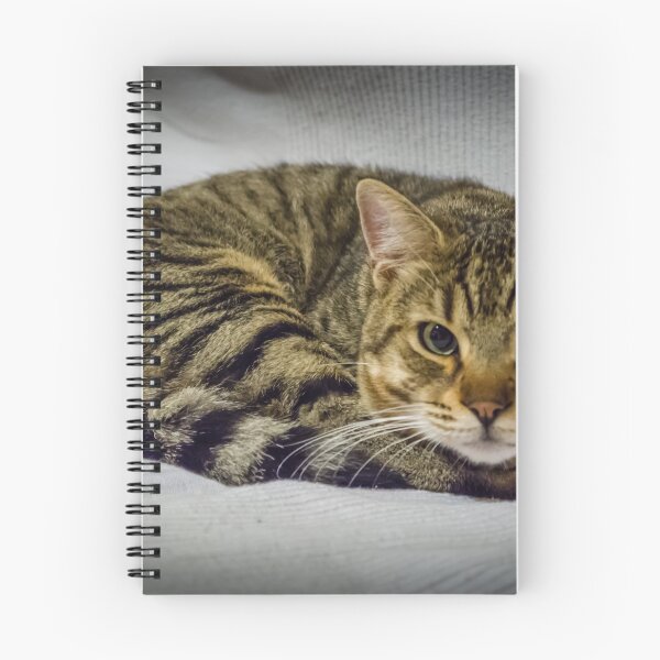 Item preview, Marco the cat designed and sold by Kostas Koutsoukanidis.