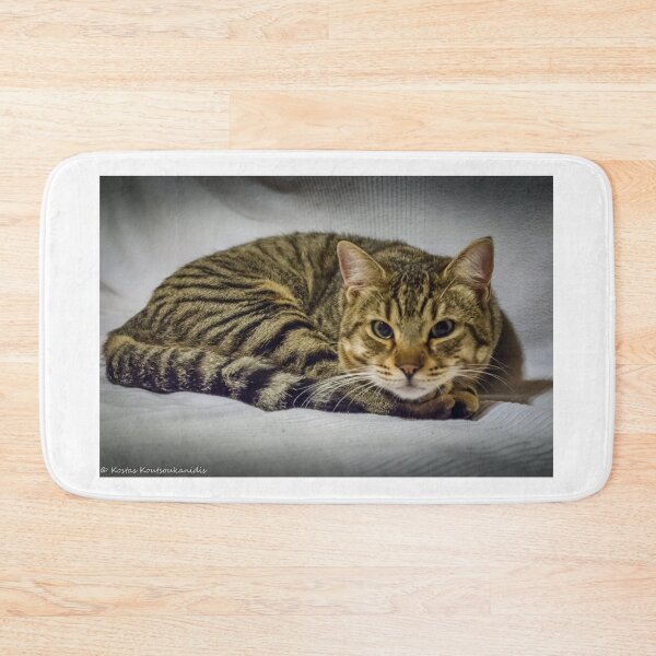 Item preview, Marco the cat designed and sold by Kostas Koutsoukanidis.