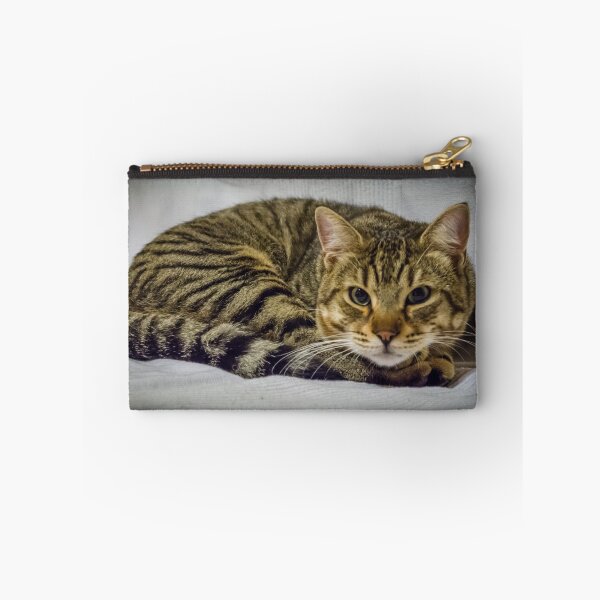 Item preview, Marco the cat designed and sold by Kostas Koutsoukanidis.
