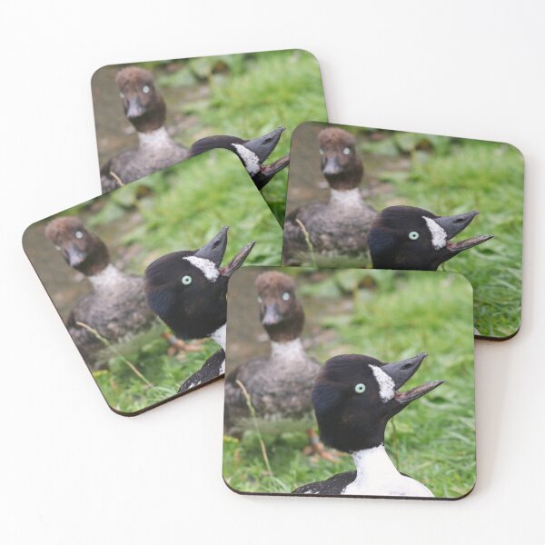 Item preview, Goofy goldeneyes designed and sold by GreyFeatherPhot.