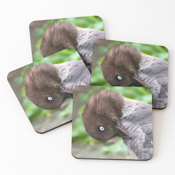 Item preview, Preening goldeneye designed and sold by GreyFeatherPhot.