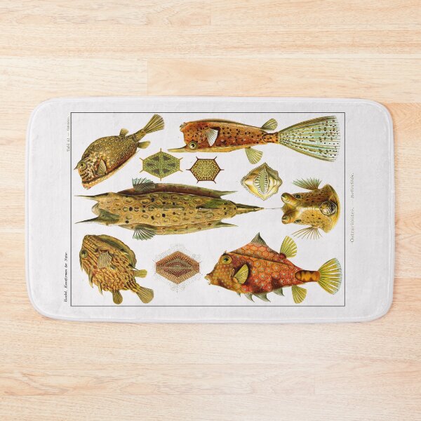 Item preview, Plate 42. Ostraciontes, the old name for boxfish, or cowfish. designed and sold by Squirrox.