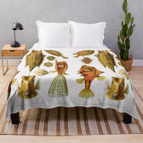 Item preview, Plate 42. Ostraciontes, the old name for boxfish, or cowfish. designed and sold by Squirrox.