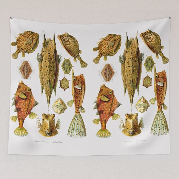 Item preview, Plate 42. Ostraciontes, the old name for boxfish, or cowfish. designed and sold by Squirrox.