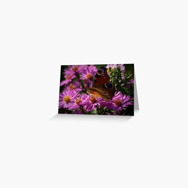 Transformed to be beautiful Greeting Card