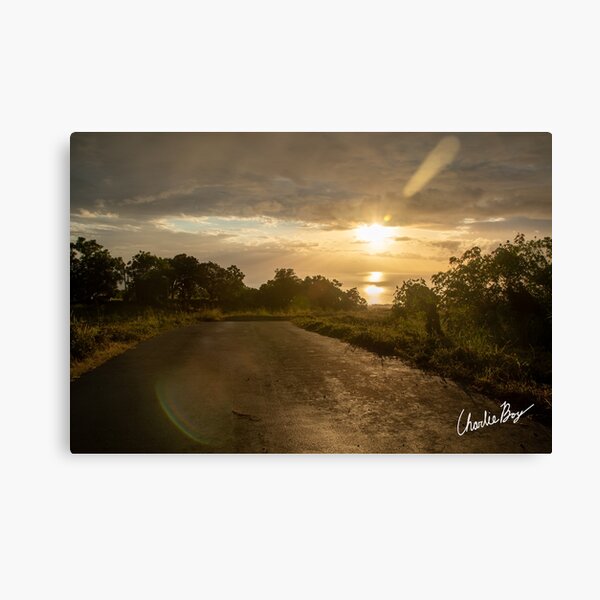 The path less taken Canvas Print