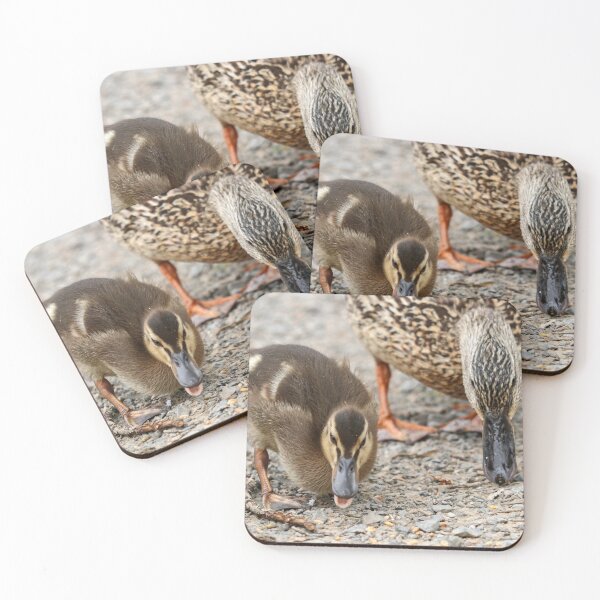 Item preview, Mother and her duckling designed and sold by GreyFeatherPhot.