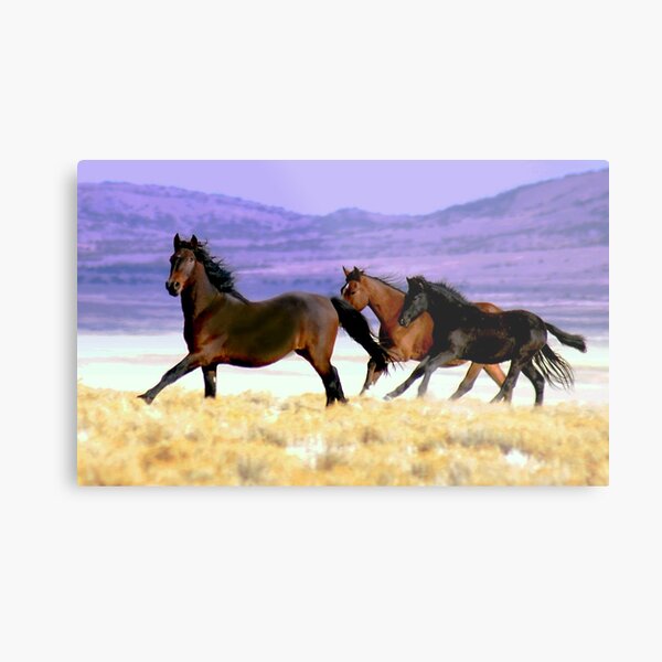 Pure Power Metal Print