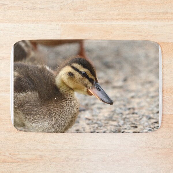 Item preview, Mallard duckling  designed and sold by GreyFeatherPhot.