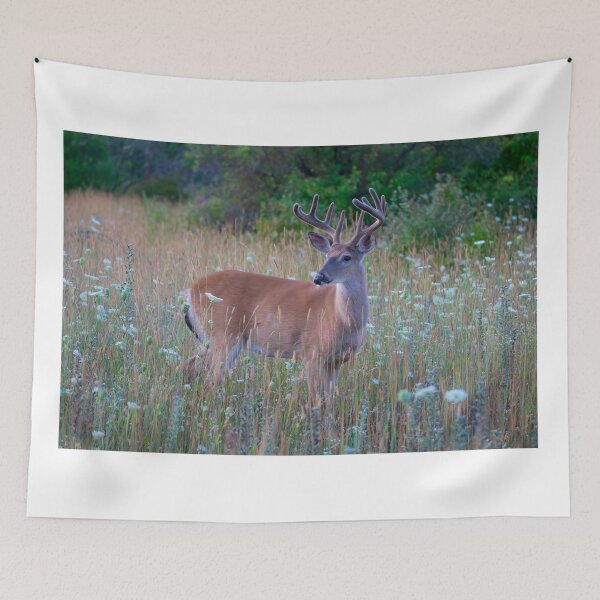 Item preview, Velvet Buck in Summer designed and sold by James Cumming.
