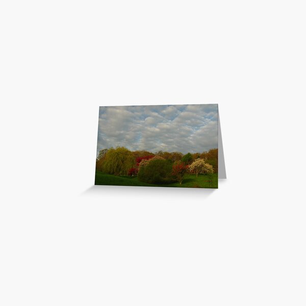 New England Landscape Photography 006 Greeting Card