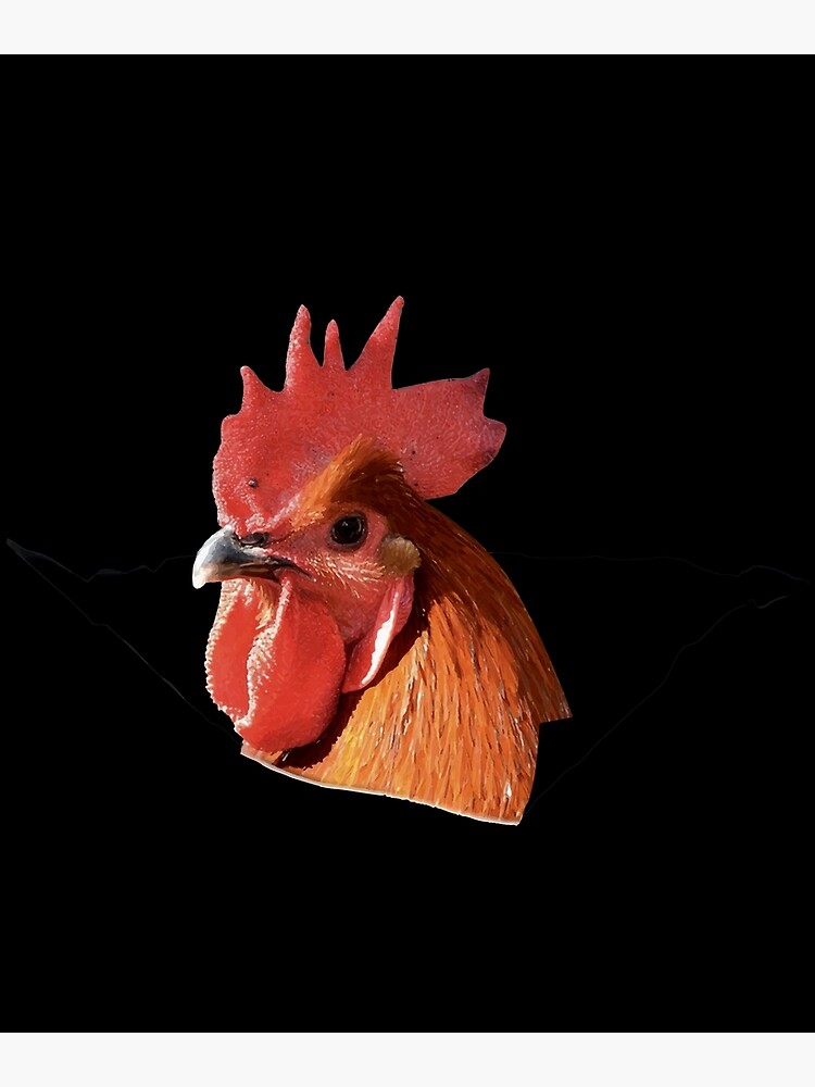 "chicken farm animals cute chicken" Poster for Sale by SeanRedmond