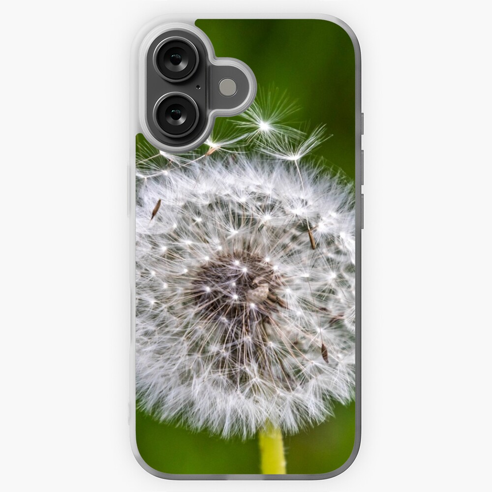 Artikel-Vorschau von iPhone Flexible Hülle, designt und verkauft von Igelchen.