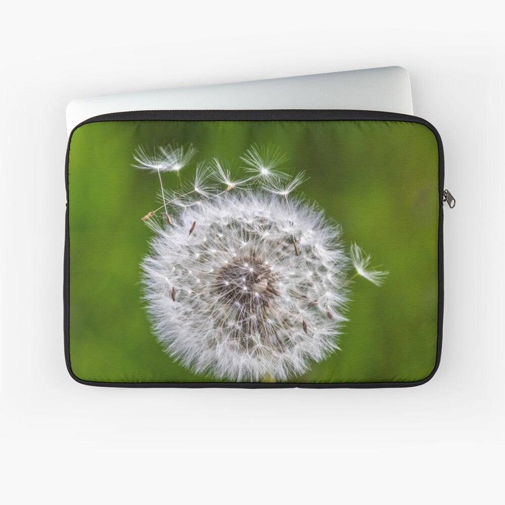Artikel-Vorschau von Laptoptasche, designt und verkauft von Igelchen.