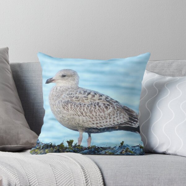 Item preview, Seagull  designed and sold by Vincent J. Newman.
